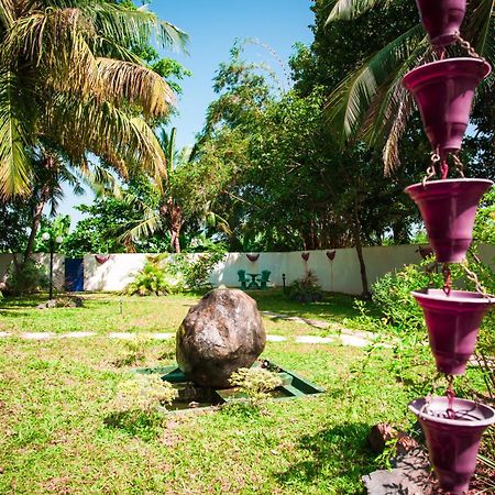 Dream Villa 米瑞莎 外观 照片