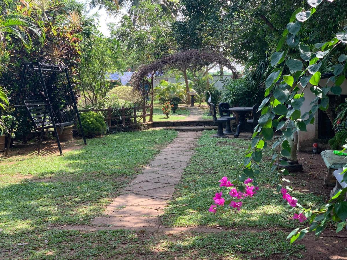 Dream Villa 米瑞莎 外观 照片