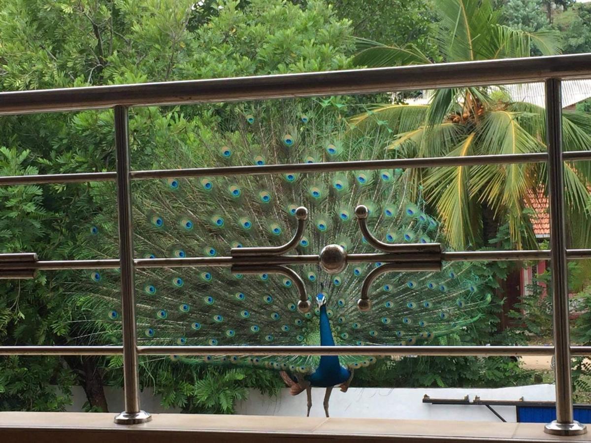 Dream Villa 米瑞莎 外观 照片