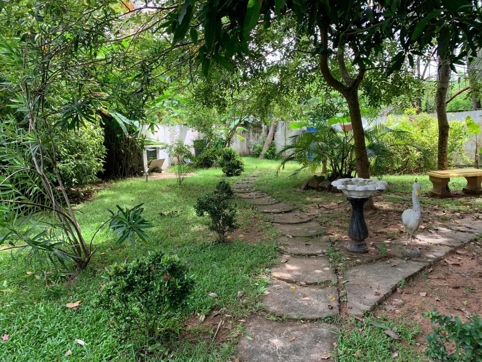 Dream Villa 米瑞莎 外观 照片